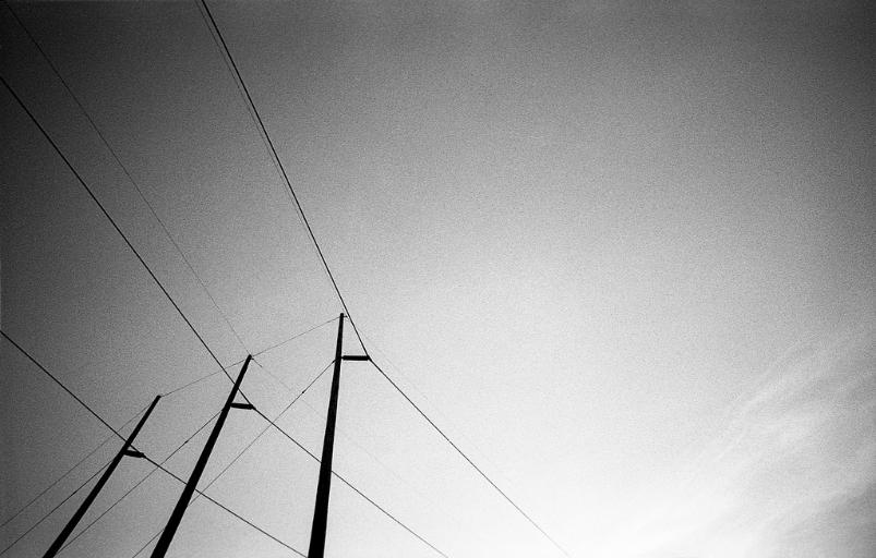Power Lines in New Market Maryland black and white film photography